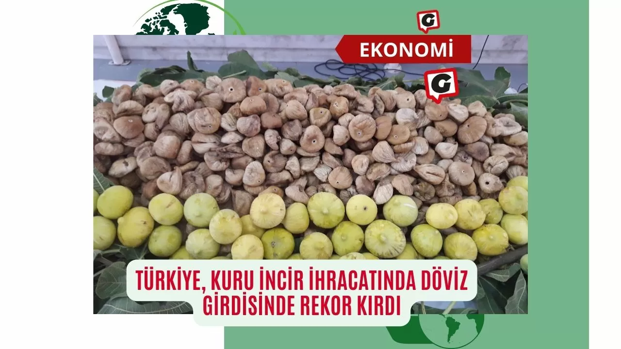 Türkiye, Kuru İncir İhracatında Döviz Girdisinde Rekor Kırdı