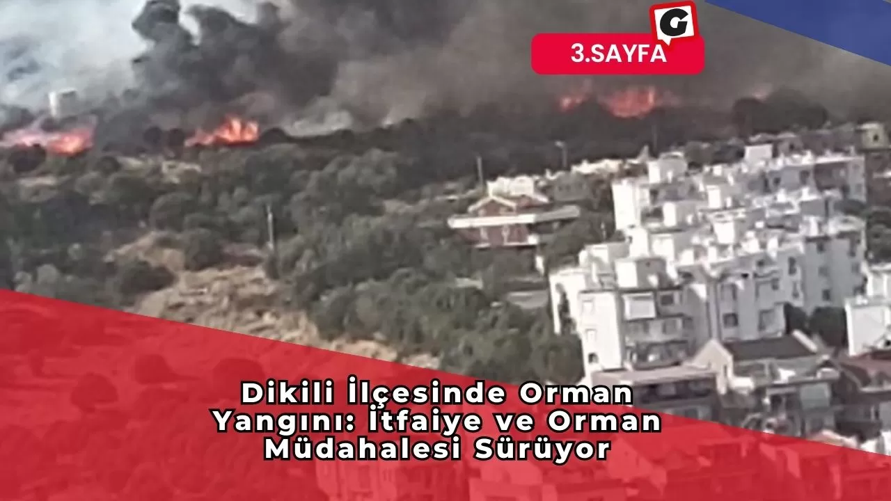 Dikili İlçesinde Orman Yangını: İtfaiye ve Orman Müdahalesi Sürüyor