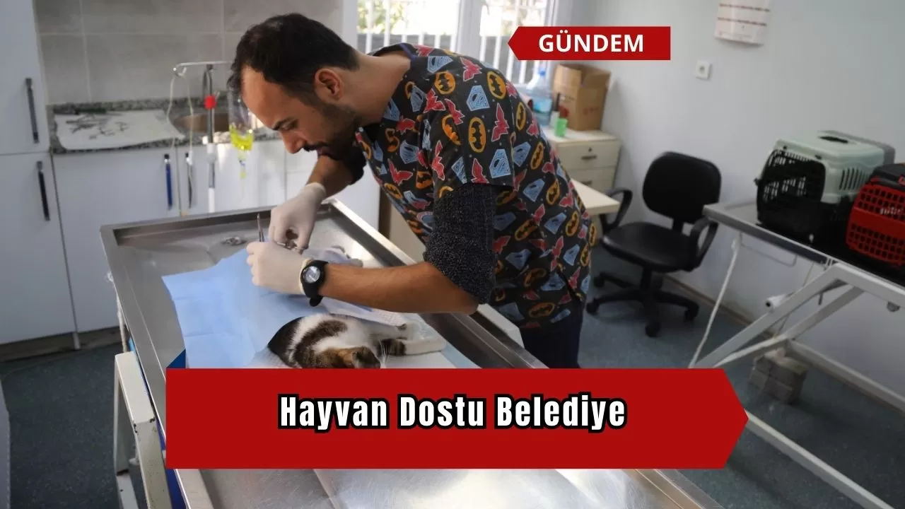 Hayvan Dostu Belediye