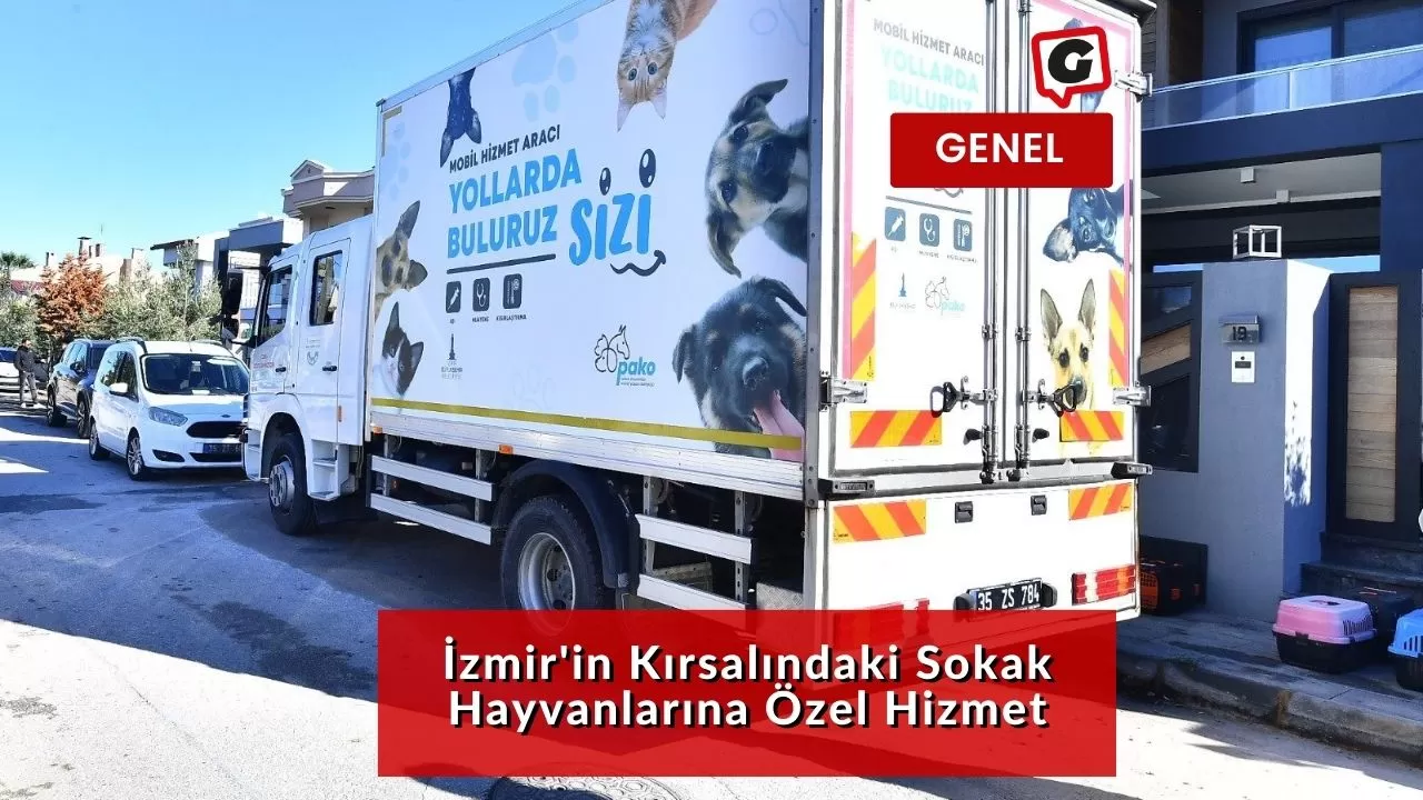 İzmir'in Kırsalındaki Sokak Hayvanlarına Özel Hizmet