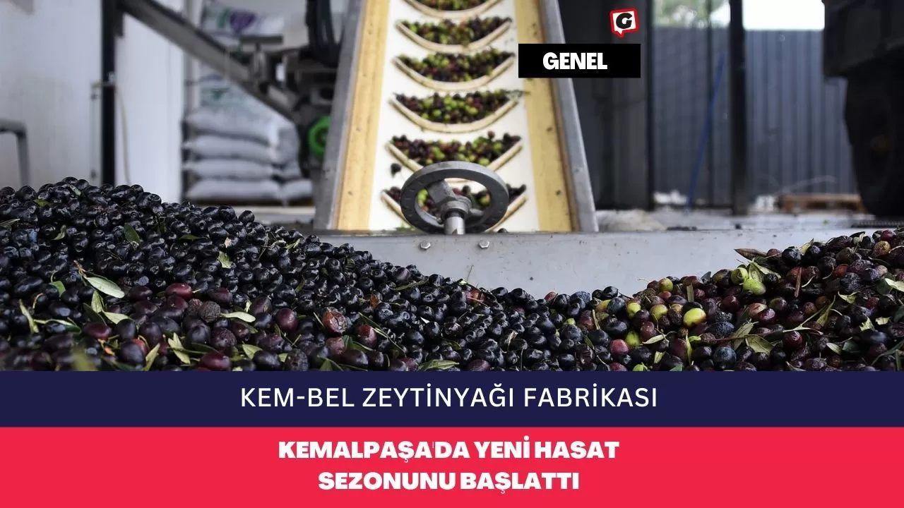 Kem-Bel Zeytinyağı Fabrikası, Kemalpaşa'da Yeni Hasat Sezonunu Başlattı