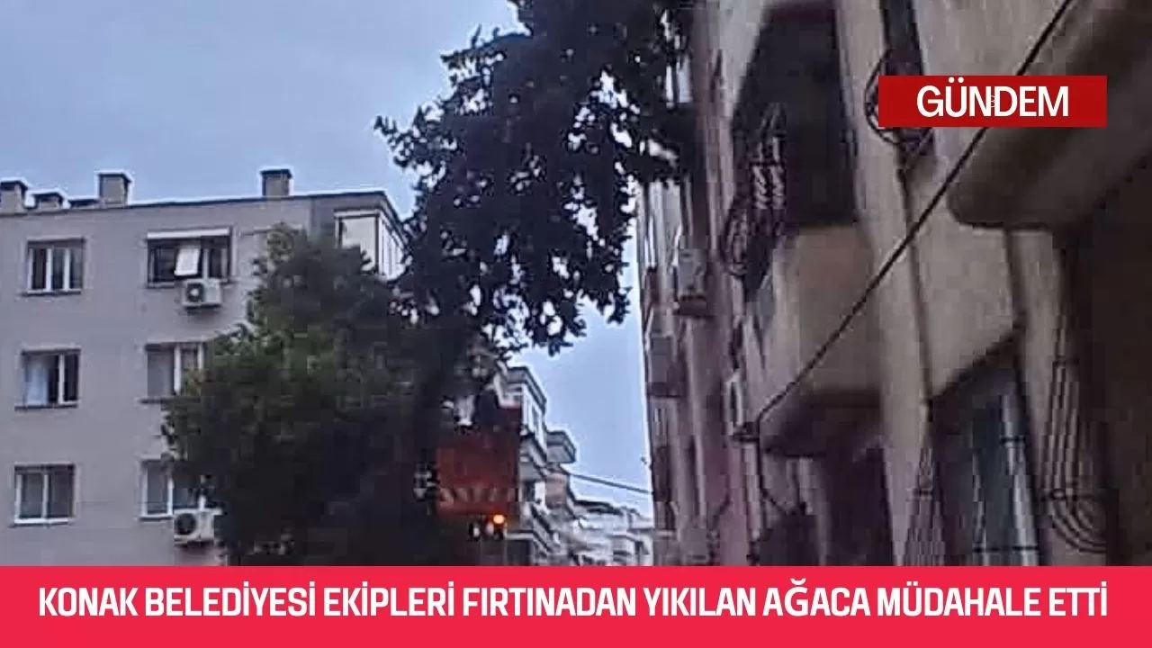 Konak Belediyesi ekipleri fırtınadan yıkılan ağaca müdahale etti