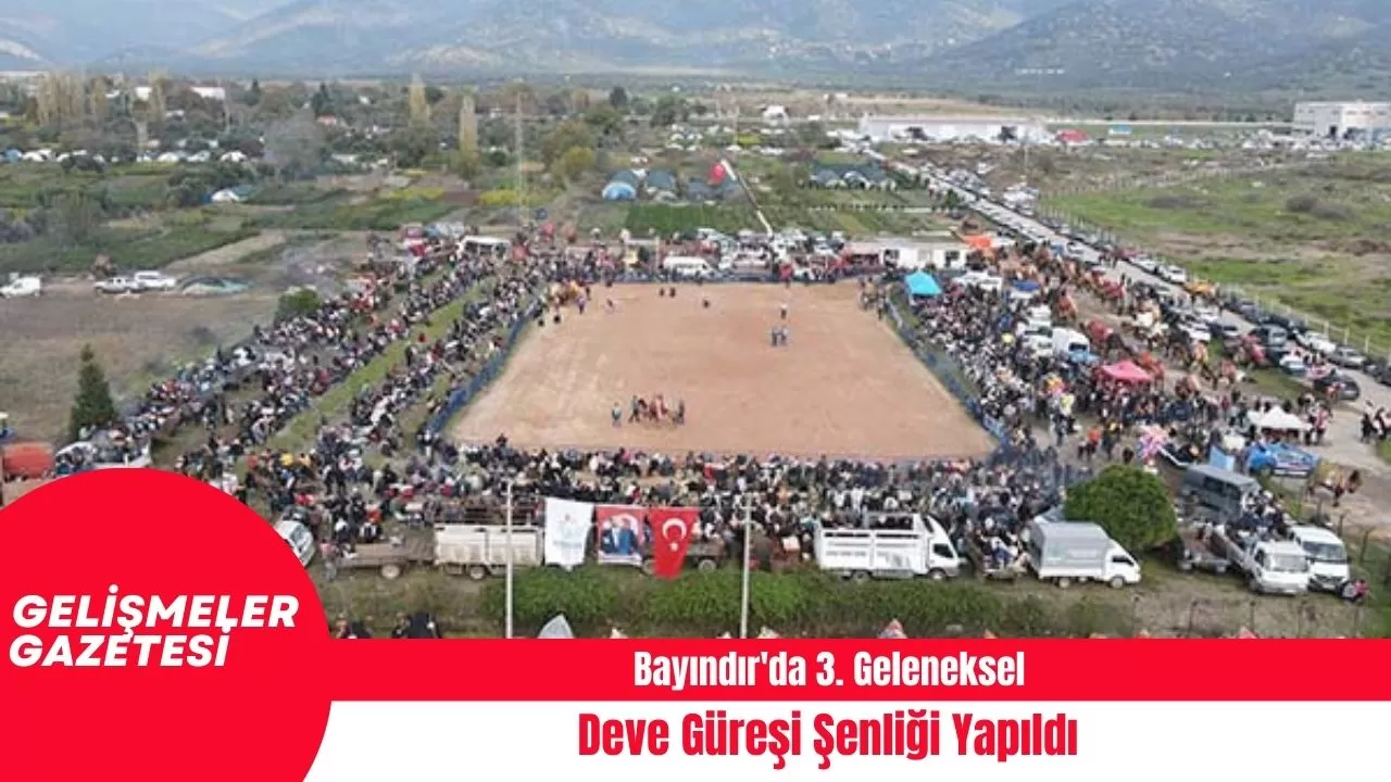 Bayındır'da 3. Geleneksel Deve Güreşi Şenliği Yapıldı