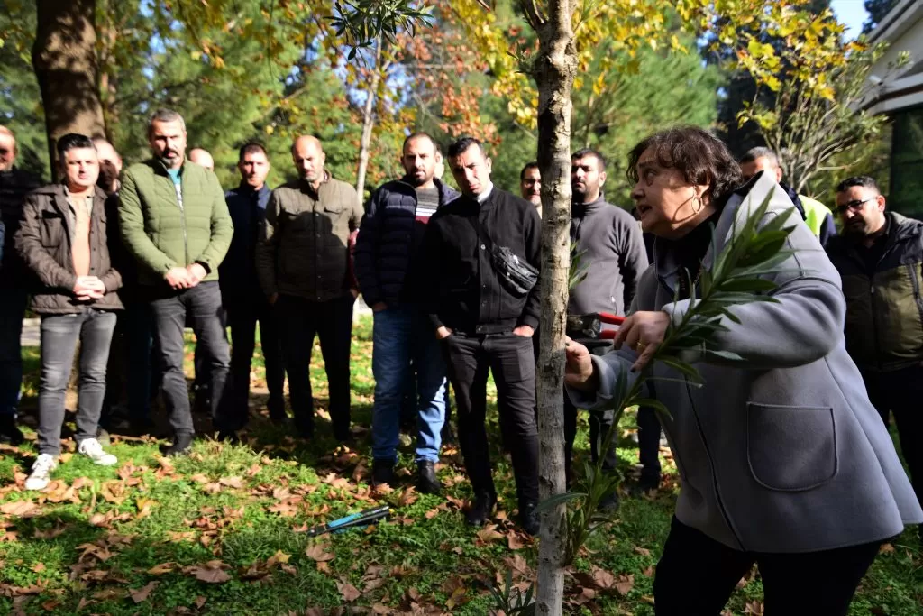 Bornova Belediyesi, daha yeşil ve estetik bir kent yaratmak amacıyla Park ve Bahçeler Müdürlüğü personeli için budama eğitimi düzenledi.