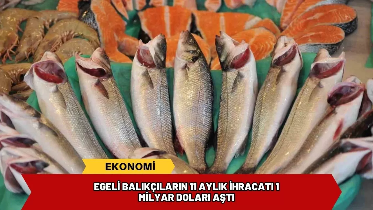 Egeli balıkçıların 11 aylık ihracatı 1 milyar doları aştı