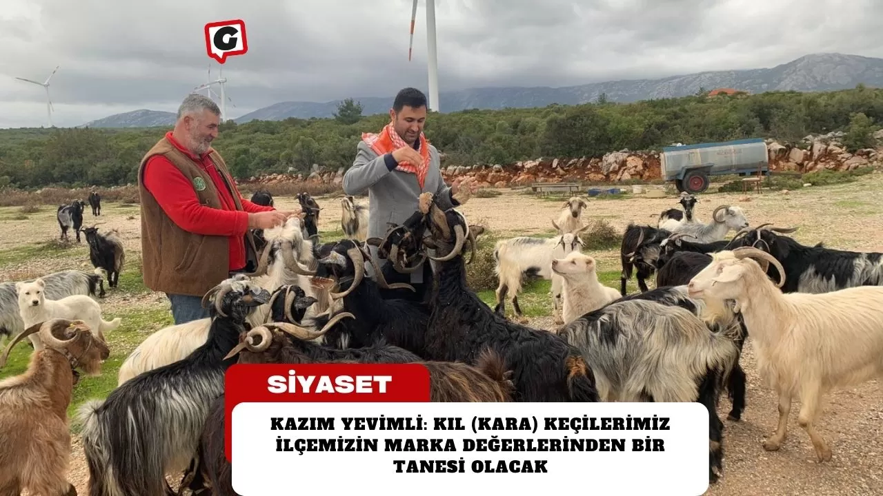 Kazım Yevimli: Kıl (kara) keçilerimiz ilçemizin marka değerlerinden bir tanesi olacak