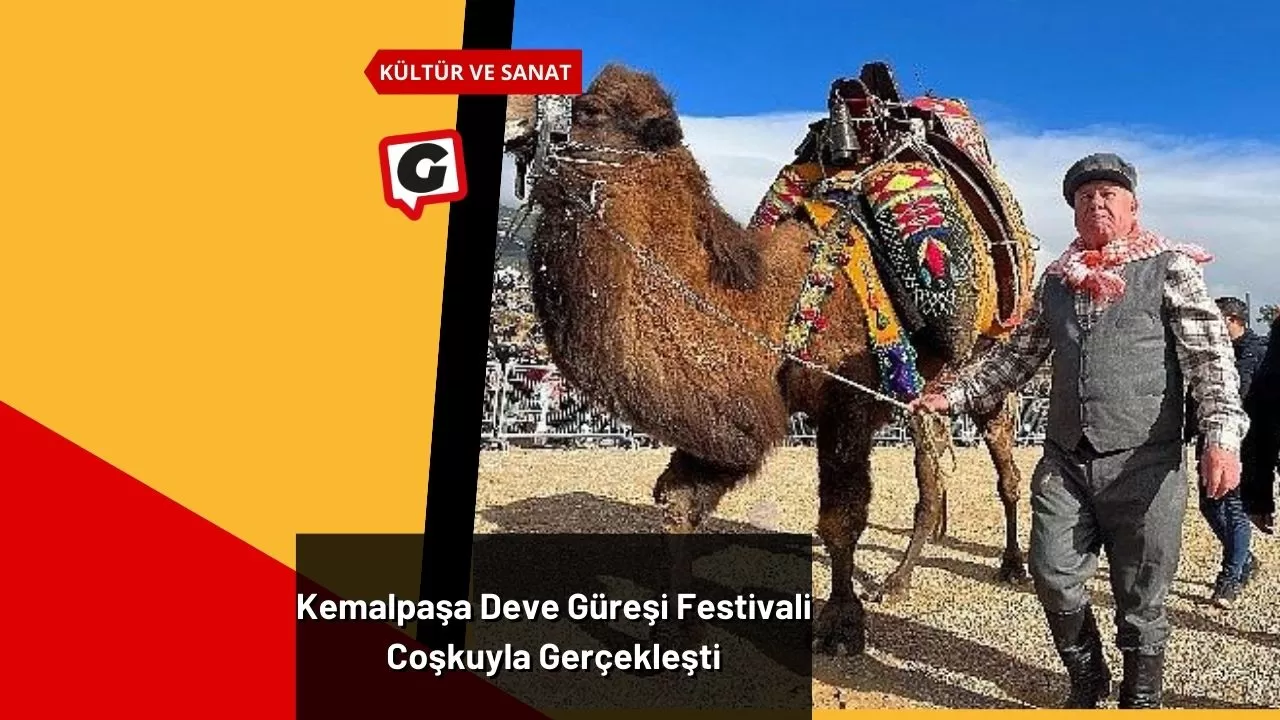 Kemalpaşa Deve Güreşi Festivali Coşkuyla Gerçekleşti