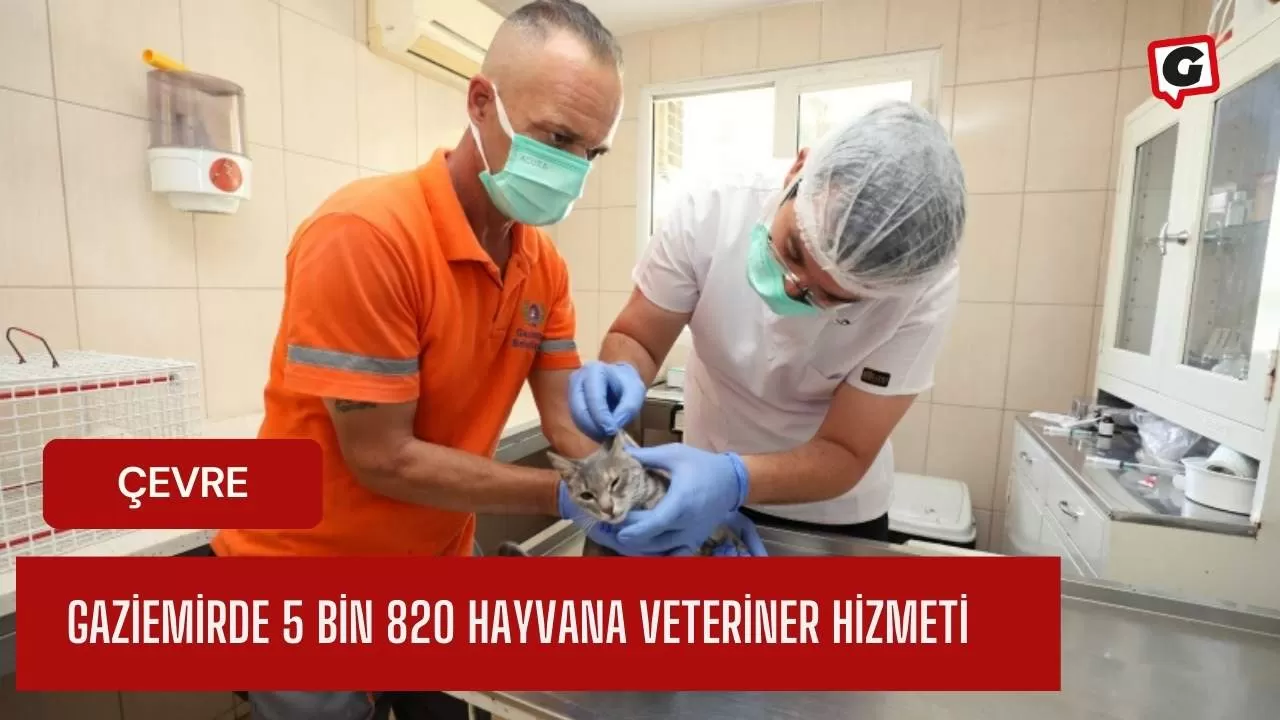 Gaziemirde 5 bin 820 hayvana veteriner hizmeti