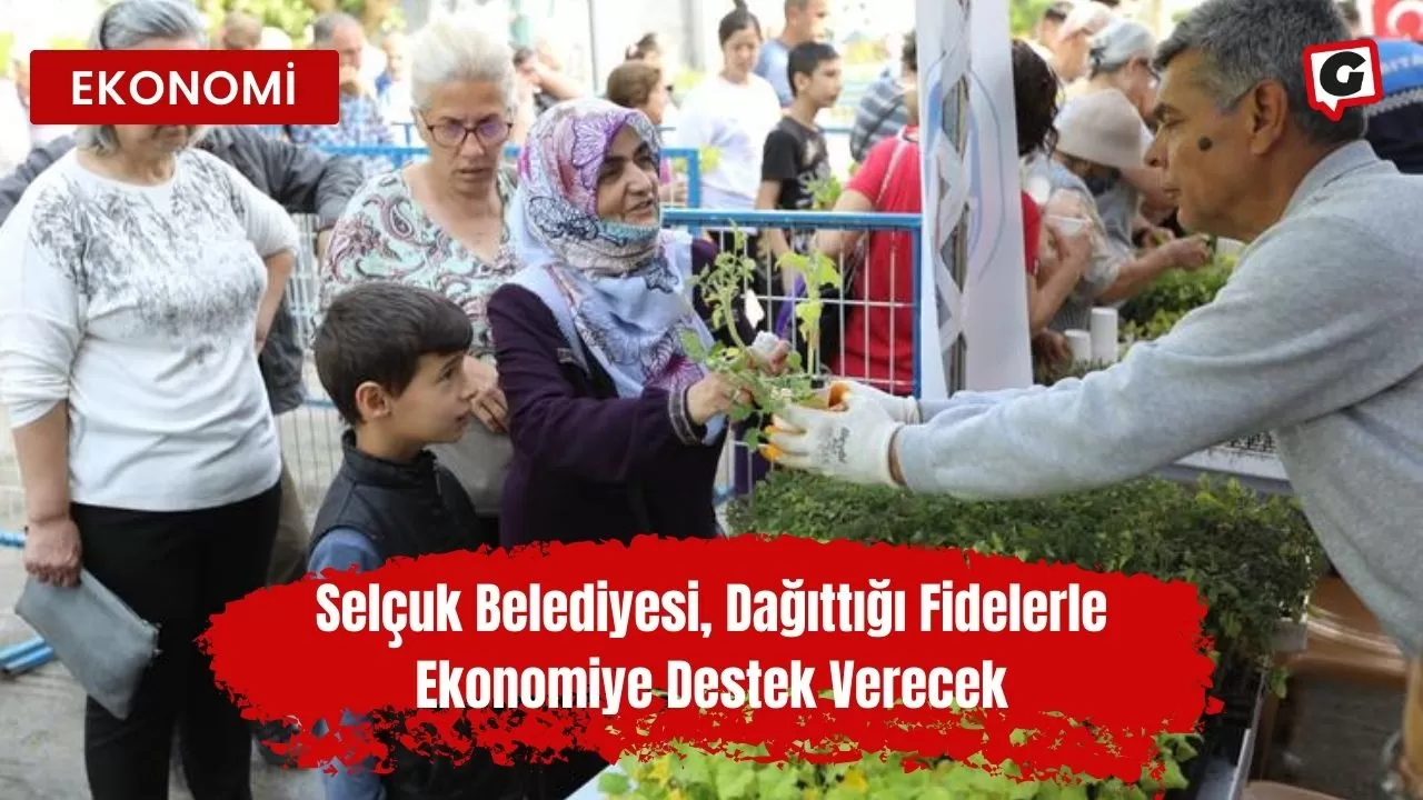 Selçuk Belediyesi, Dağıttığı Fidelerle Ekonomiye Destek Verecek