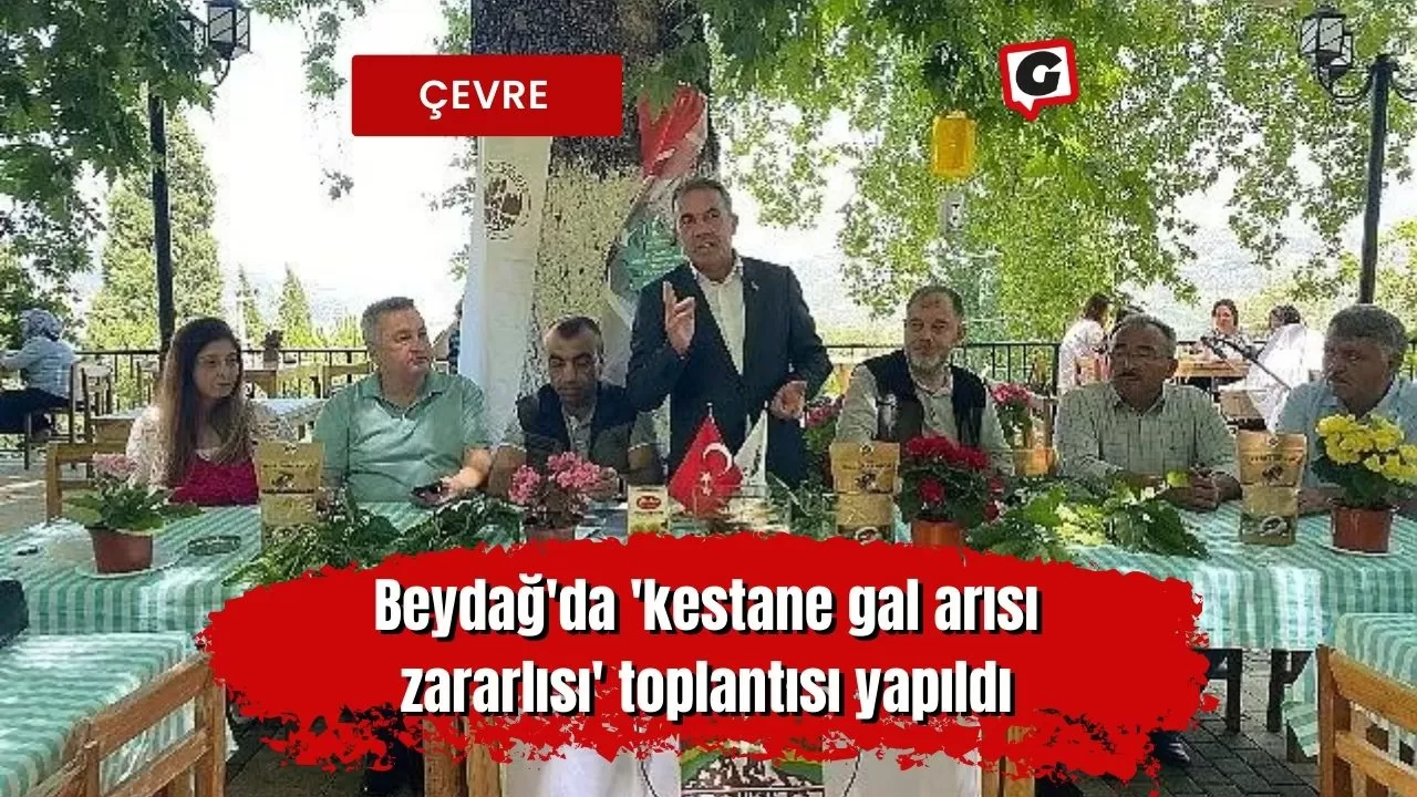 Beydağ'da 'kestane gal arısı zararlısı' toplantısı yapıldı