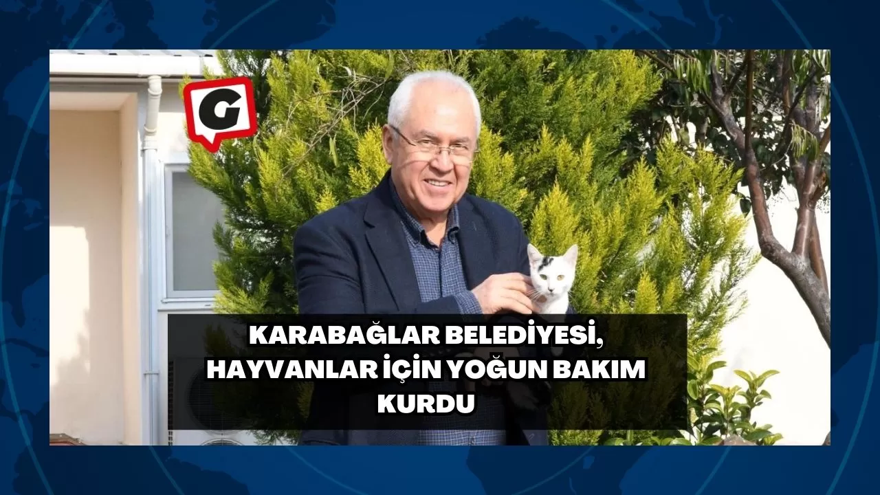 Karabağlar Belediyesi, Hayvanlar İçin Yoğun Bakım Kurdu