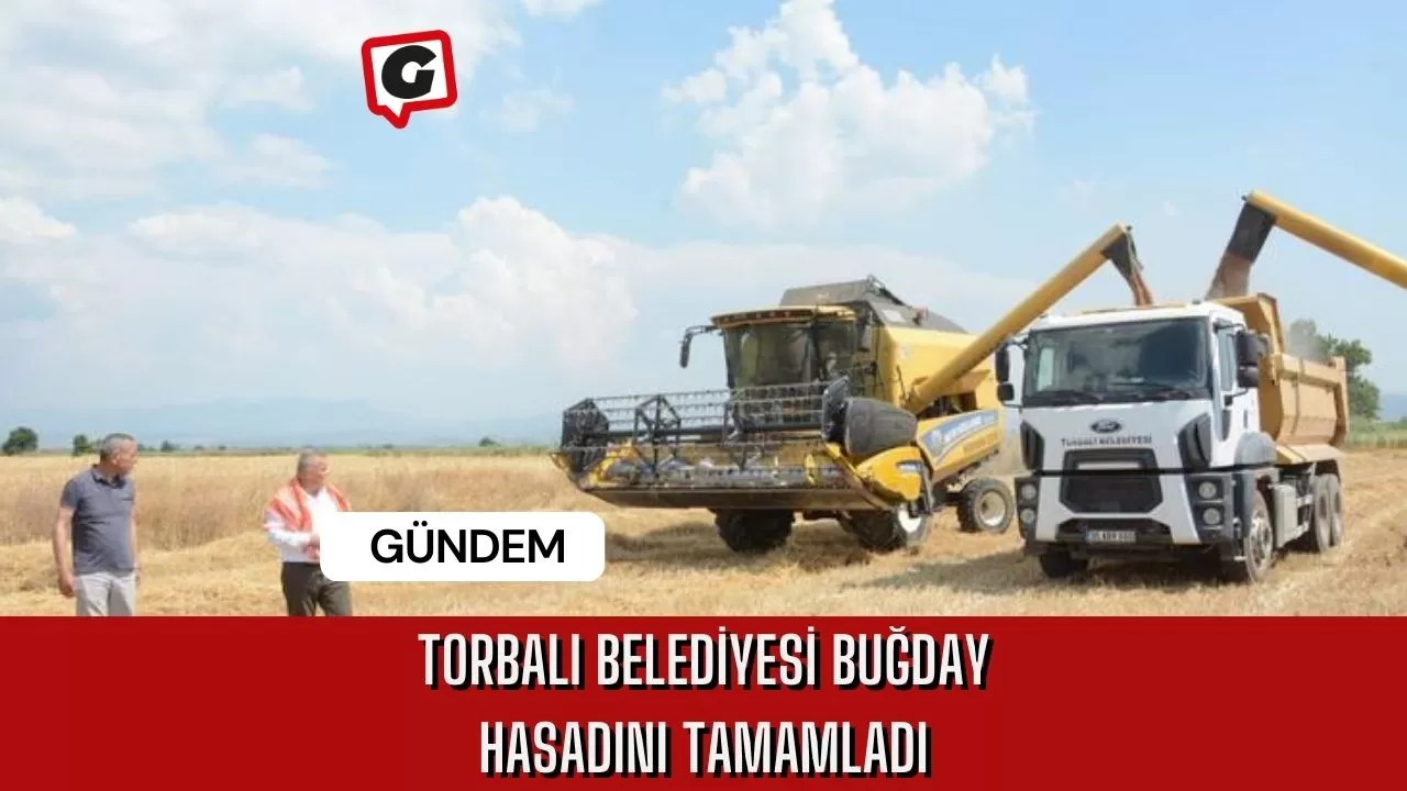 Torbalı Belediyesi buğday hasadını tamamladı