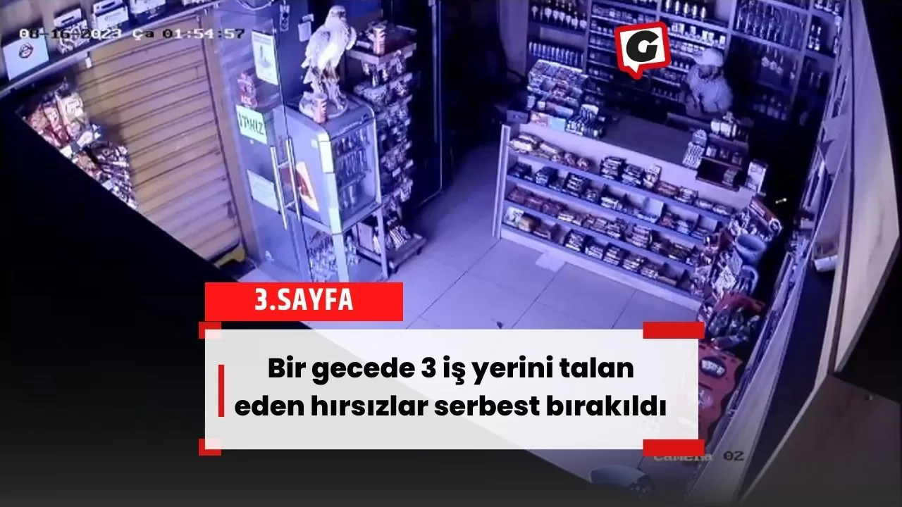 Bir gecede 3 iş yerini talan eden hırsızlar serbest bırakıldı