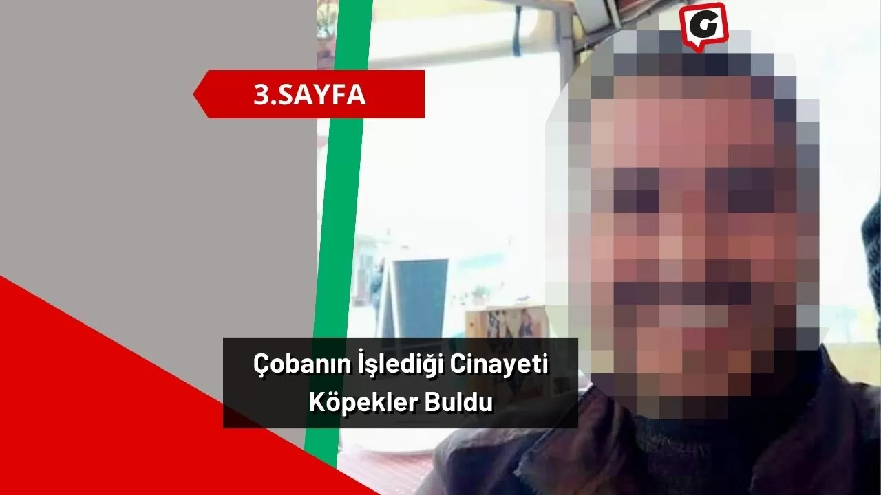 Çobanın İşlediği Cinayeti Köpekler Buldu