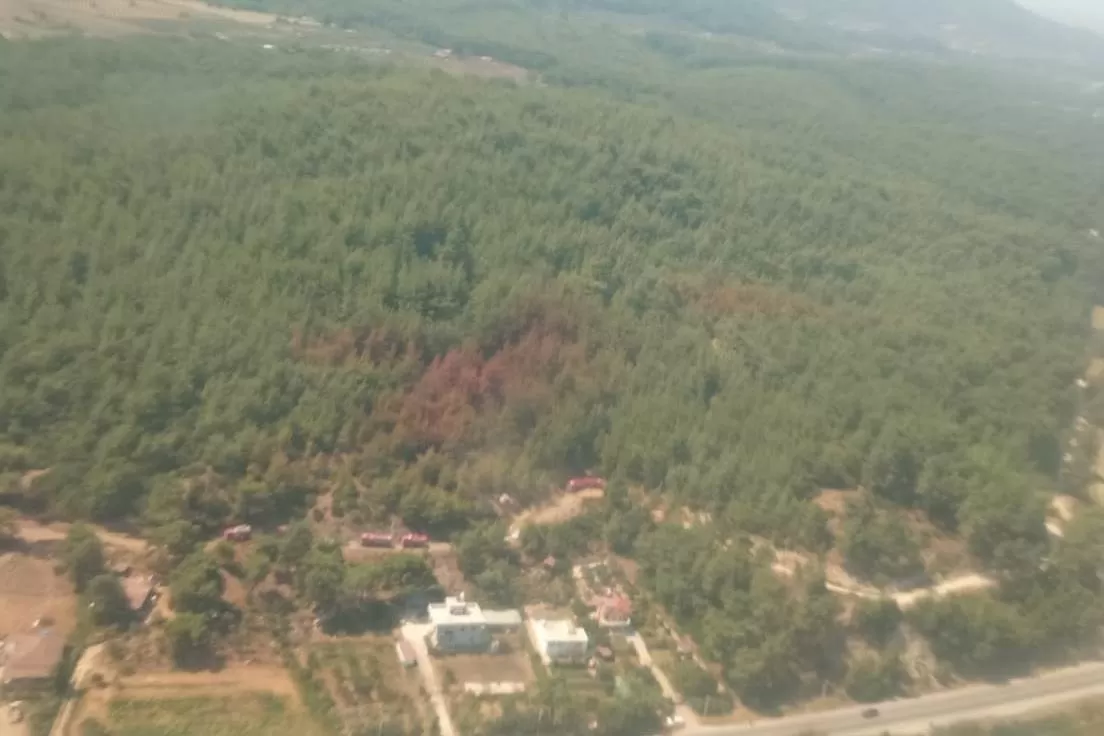 İzmir’in Menderes ilçesinde çıkan orman yangını karadan ve havadan müdahale ile büyümeden kontrol altına alındı.