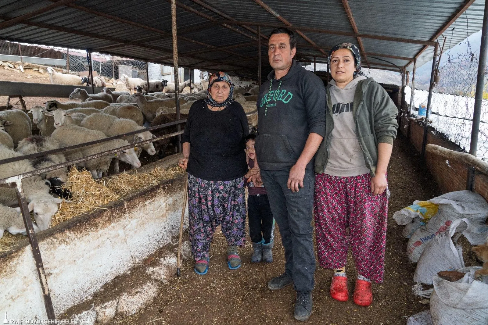 İzmir Büyükşehir Belediyesi, orman yangınlarında meraları yok olan çiftçilere 225 ton yem desteği sağladı. Destekler, hayvanların sağlıklı beslenme koşulları oluşana kadar devam edecek.