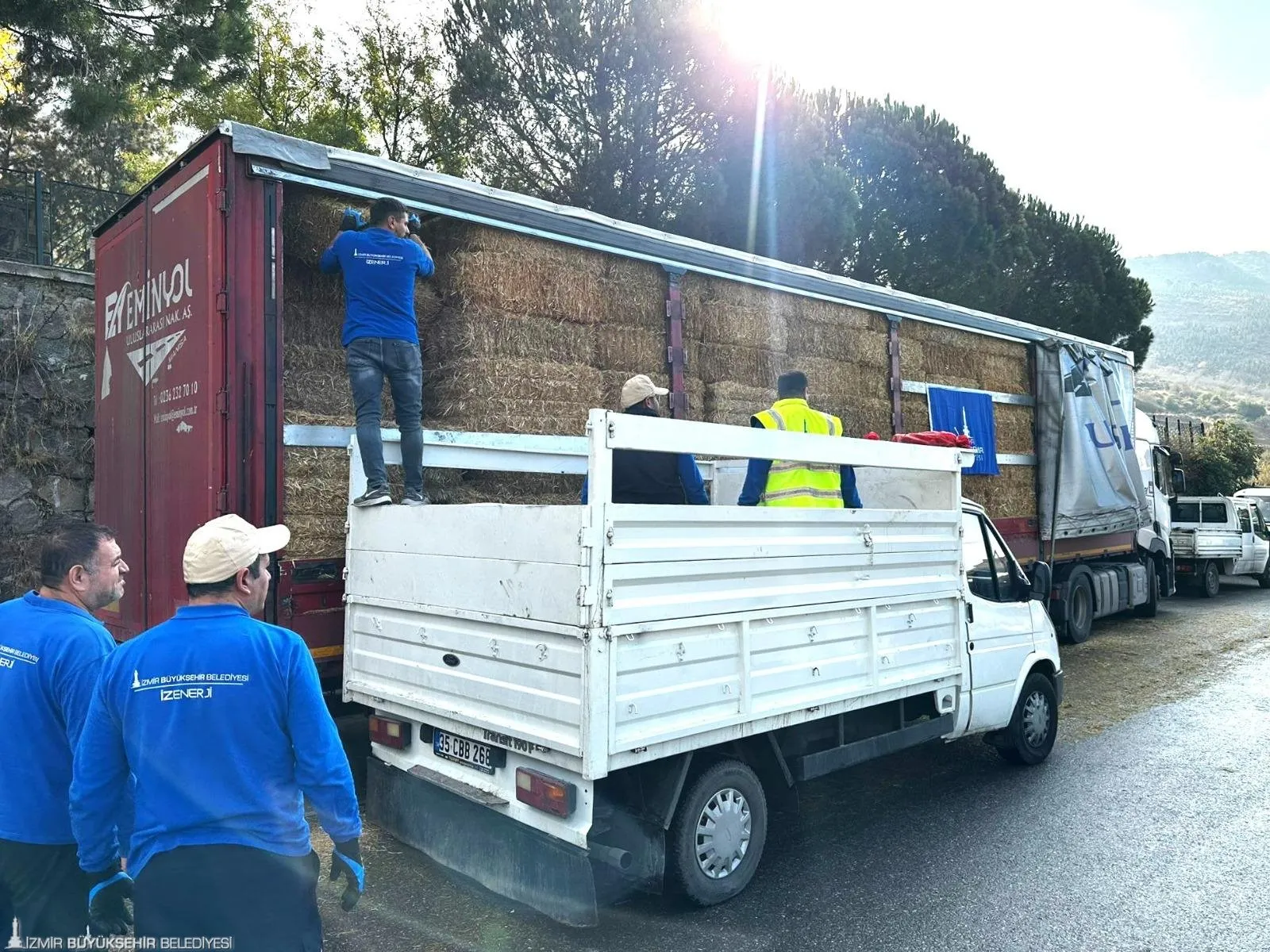 İzmir Büyükşehir Belediyesi, orman yangınlarında meraları yok olan çiftçilere 225 ton yem desteği sağladı. Destekler, hayvanların sağlıklı beslenme koşulları oluşana kadar devam edecek.