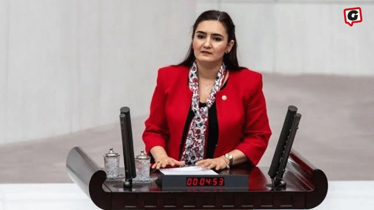 Sevda Erdan Kılıç: 2024'te 2 bin 529 hak ihlali tespit edildi