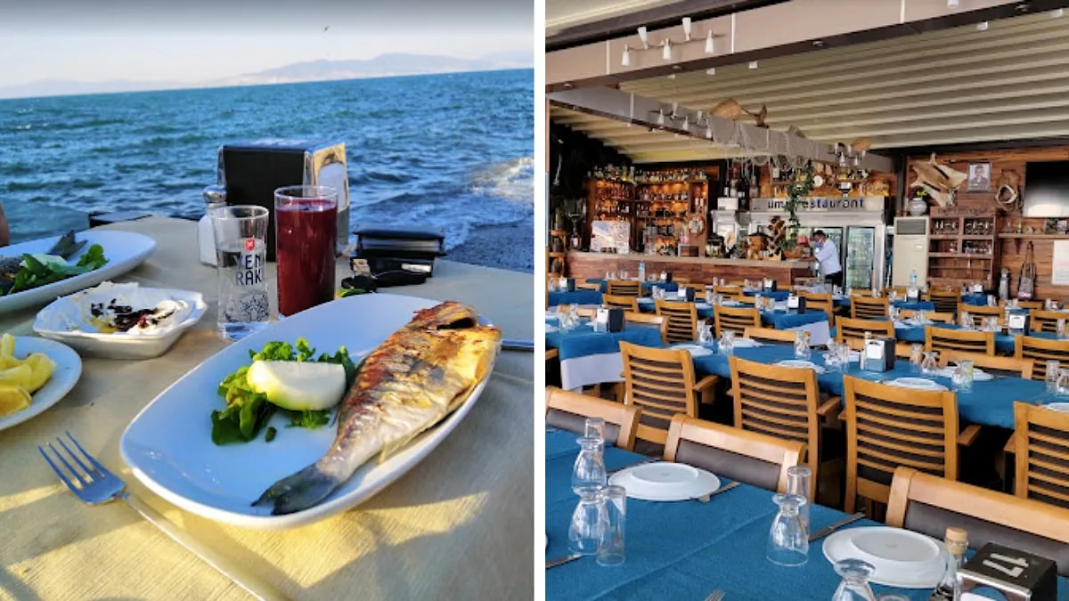 İzmir'de deniz ürünleri ve eşsiz mezeleriyle dikkat çeken en iyi balık restoranlarını keşfedin. Ege mutfağının tadını çıkarırken unutulmaz anlar yaşayın! İşte sizlere derlediğimiz balık restoranları..