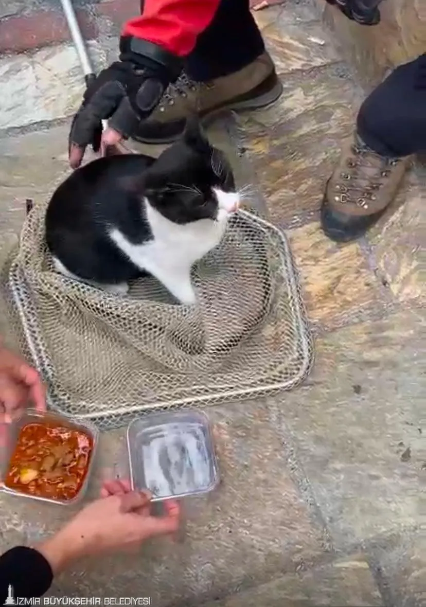 İzmir'de Tarihi Asansör'ün kayalıklarında mahsur kalan bir kedi, itfaiye ekiplerinin başarılı operasyonu sayesinde kurtarıldı. 