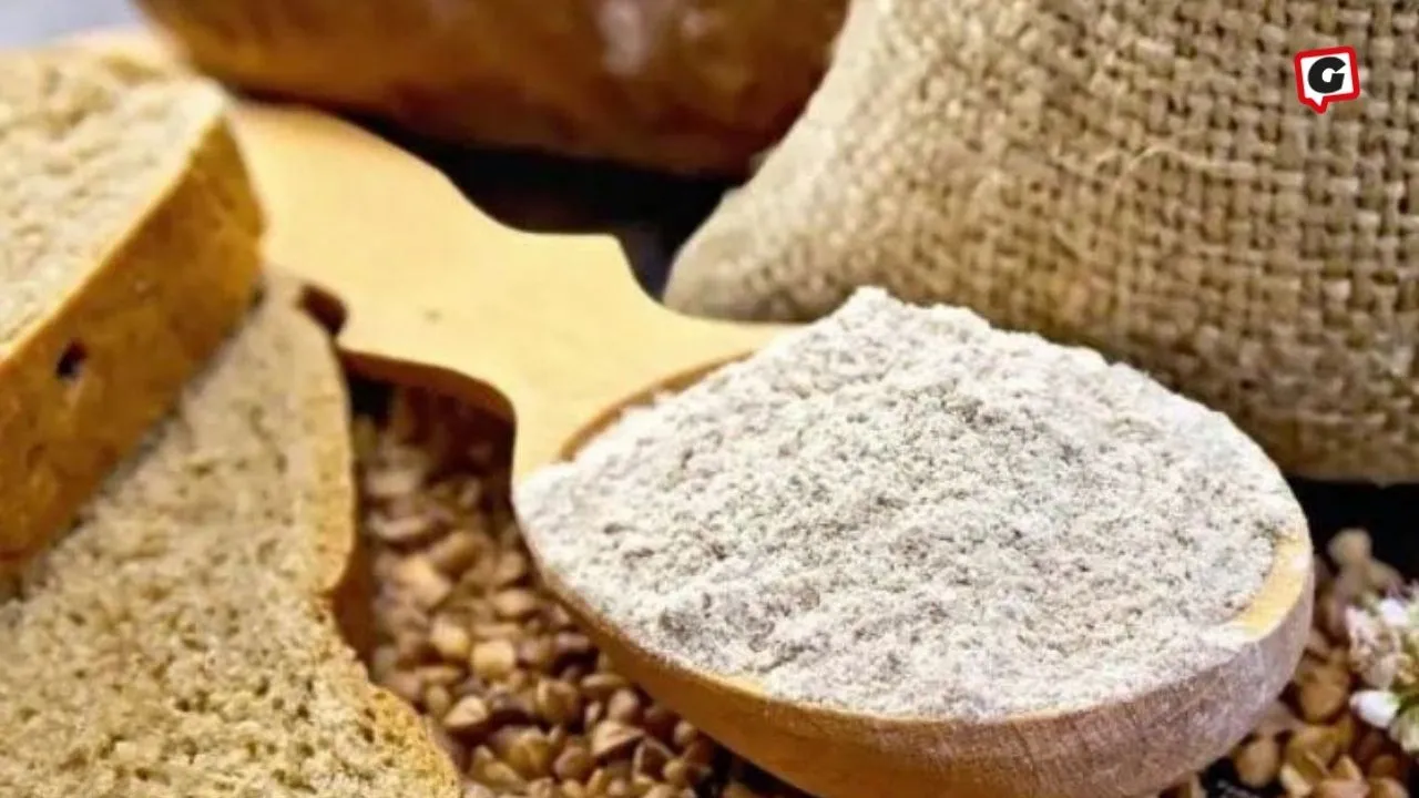 Türkiye'de İlk Kez Hasat Edilen Sorgum: Glutensiz ve Besleyici Bir Alternatif