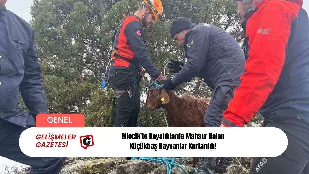 Bilecik'te Kayalıklarda Mahsur Kalan Küçükbaş Hayvanlar Kurtarıldı!