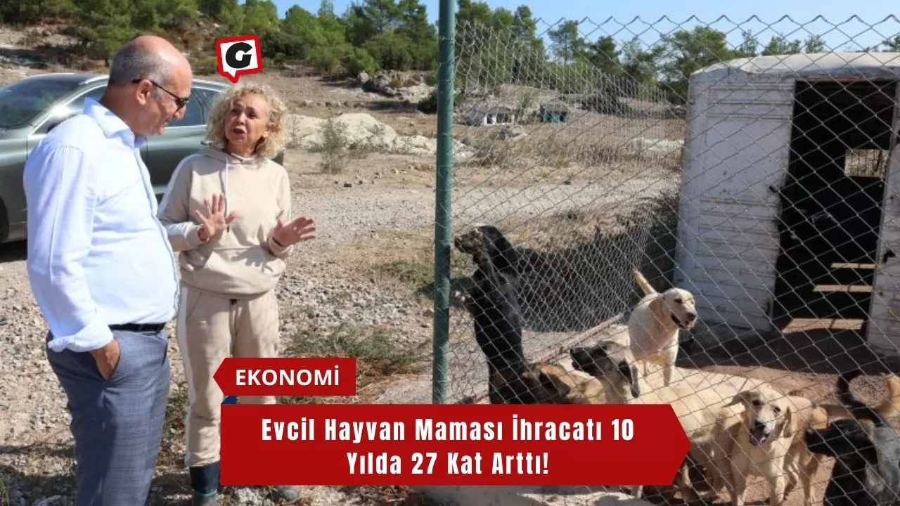 Evcil Hayvan Maması İhracatı 10 Yılda 27 Kat Arttı!