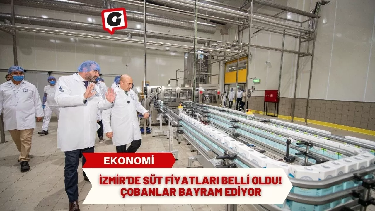 İzmir'de Süt Fiyatları Belli Oldu! Çobanlar Bayram Ediyor