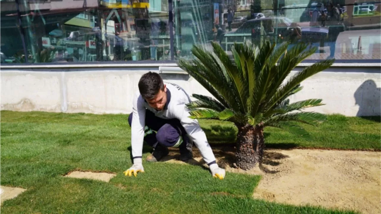 Tire Atatürk Parkı Yenileniyor: Kütüphane Tarihi Binaya Taşınıyor, Park Kafeteryaya Dönüşüyor!