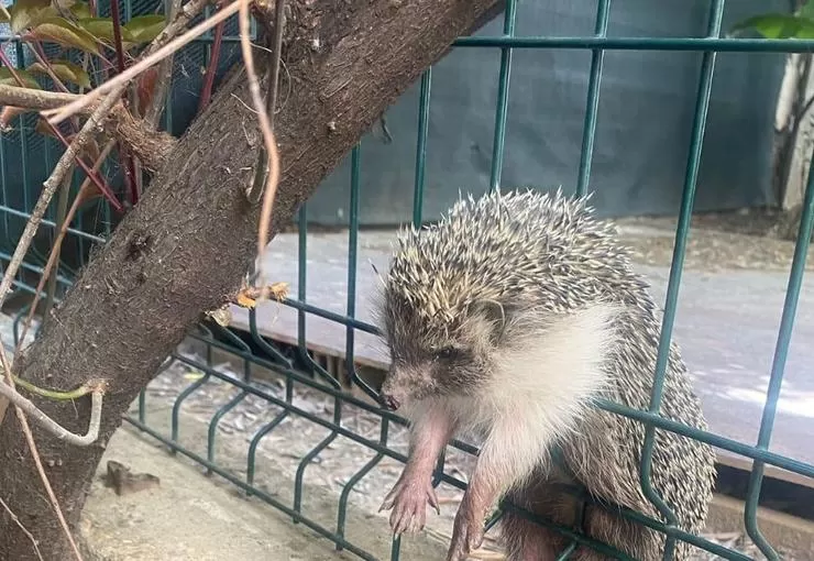 İzmir İtfaiyesinden yürekleri ısıtan kurtarma