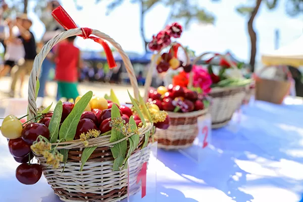 Balcılar Kiraz Festivali, bu yıl da coşkulu bir şekilde kutlandı. Festivale, Bayındır Kaymakamı Emin Kaymak ve Bayındır Belediye Başkanı Davut Sakarsu'nun yanı sıra çok sayıda davetli katıldı.