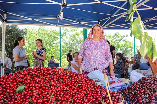 Balcılar Kiraz Festivali, bu yıl da coşkulu bir şekilde kutlandı. Festivale, Bayındır Kaymakamı Emin Kaymak ve Bayındır Belediye Başkanı Davut Sakarsu'nun yanı sıra çok sayıda davetli katıldı.