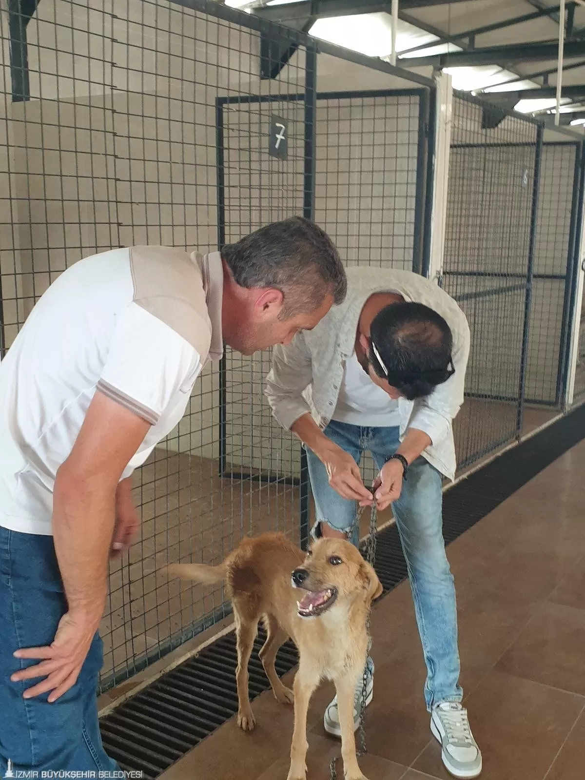 İzmir Büyükşehir Belediyesi, Bornova'da çıkan yangında dumana ve yüksek ısıya maruz kalan 139 kedi ve köpeği tahliye ederek Pako Sokak Hayvanları Sosyal Yaşam Kampüsü'ne yerleştirdi