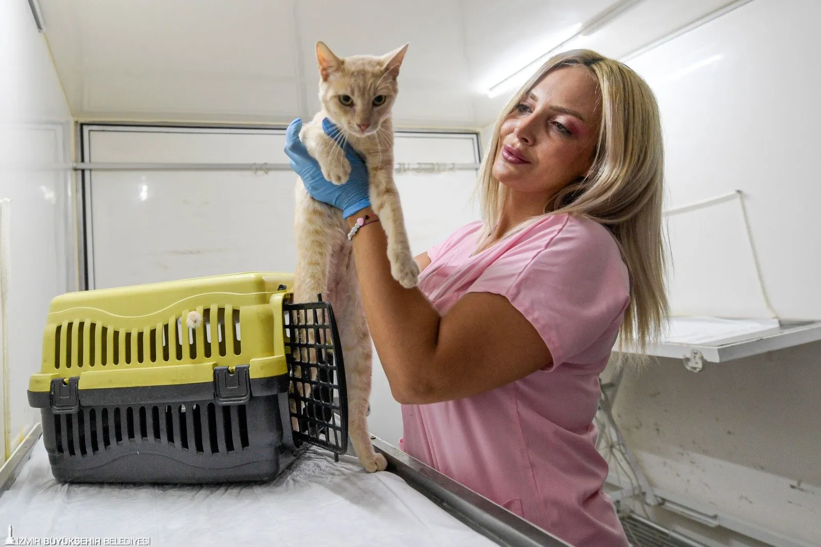 İzmir Büyükşehir Belediyesi, sokakta yaşayan kedi ve köpeklerin kısırlaştırılması için yoğun çaba sarf ediyor. 