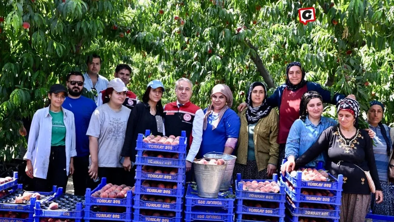 İzmir'de Bitkisel Üretim Destekleme Modeli Detayları Belli Oldu