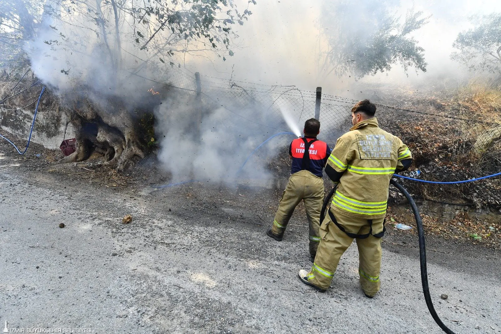 İzmir'de son 4 günde 249 yangın çıktı. Ormanlık ve otluk alanlarda çıkan yangınlara 10 ilden destek geldi. İtfaiye ekipleri, yangınları kontrol altına almak için yoğun çaba sarf etti.