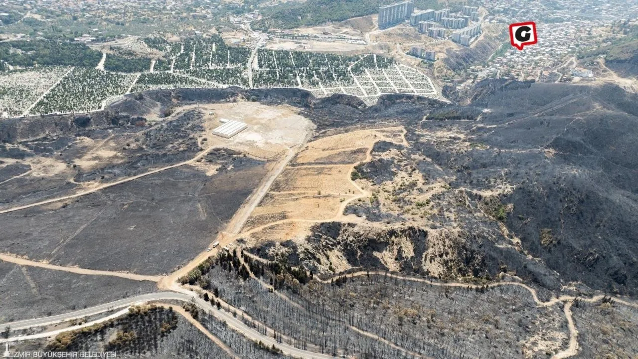 İzmir'de Yangın Yarasına Merhem: 200 Dönümde 15 Bin Ağaç Tedavi Ediliyor