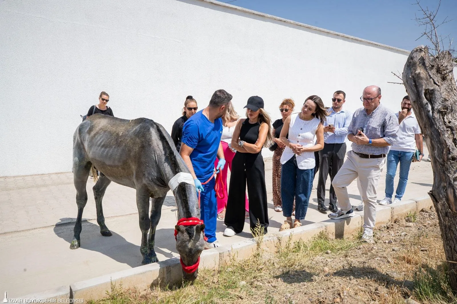 Seren Serengil, İzmir'deki büyük yangında zarar gören sokak hayvanlarına destek olmak için İzmir Büyükşehir Belediyesi PAKO Sokak Hayvanları Sosyal Yaşam Kampüsü'nü ziyaret etti