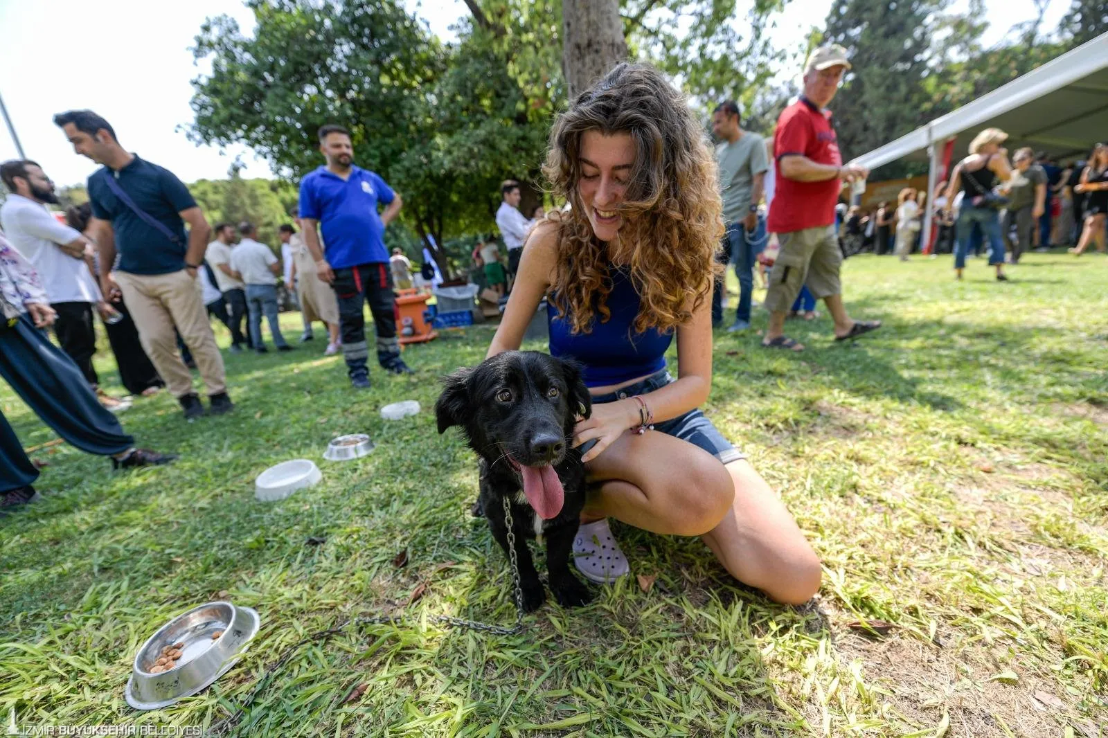 İzmir Büyükşehir Belediyesi, sokakta yaşayan sahipsiz hayvanlar için kapsamlı bir eylem planı hazırladı. Şehir 6 bölgeye ayrılarak, köpeklerin sayısı bilimsel yöntemlerle belirlenecek.